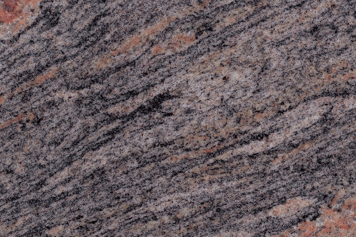 Paradiso Bash / Light