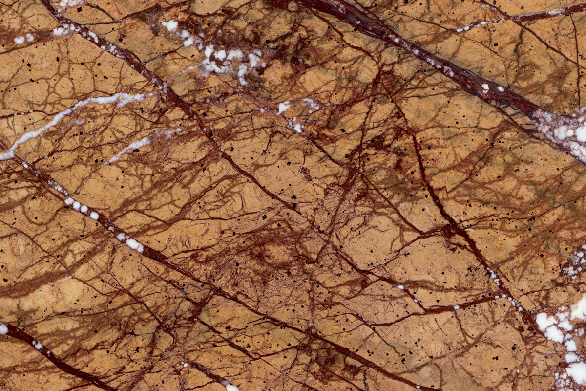 Rain Forest “Gold”