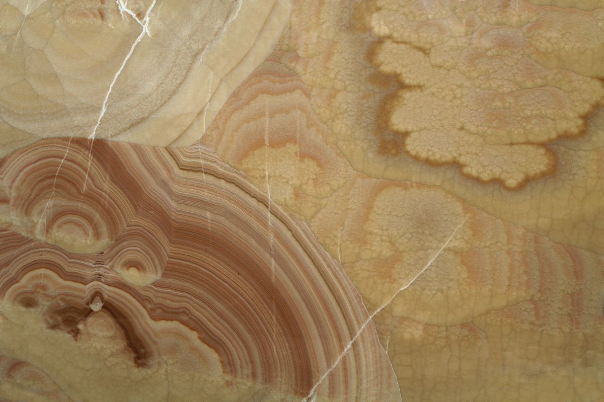 Onice Miele (Cross Cut)