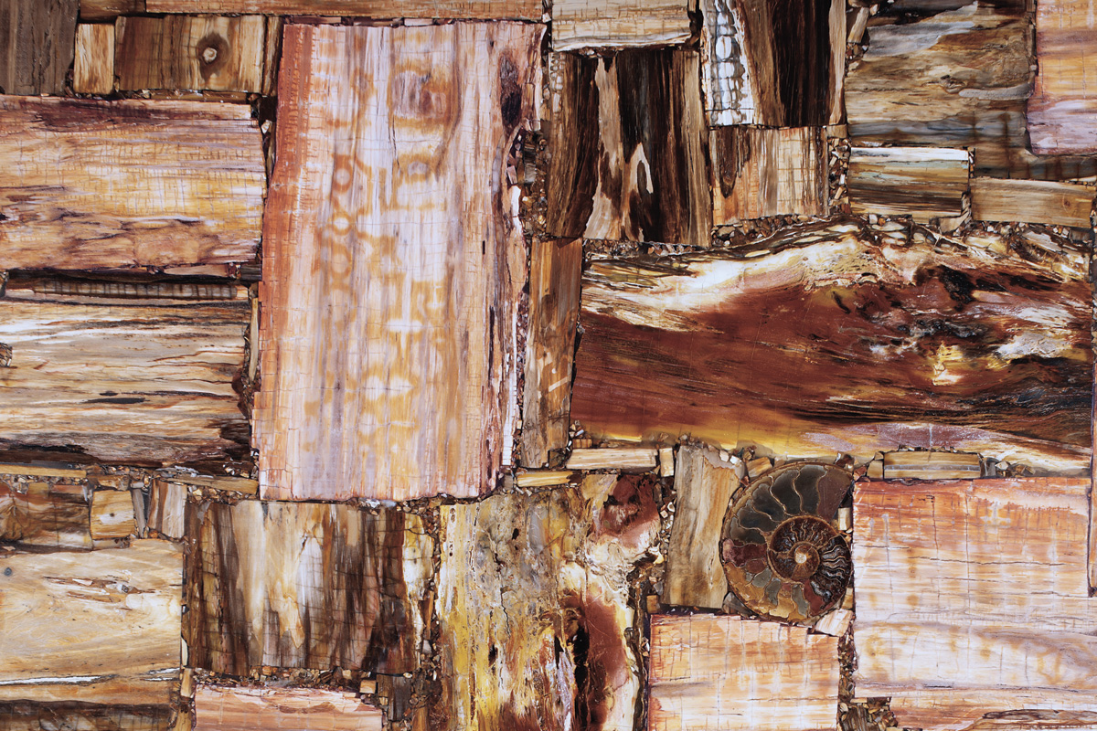 Retrò Brown Petrified Wood