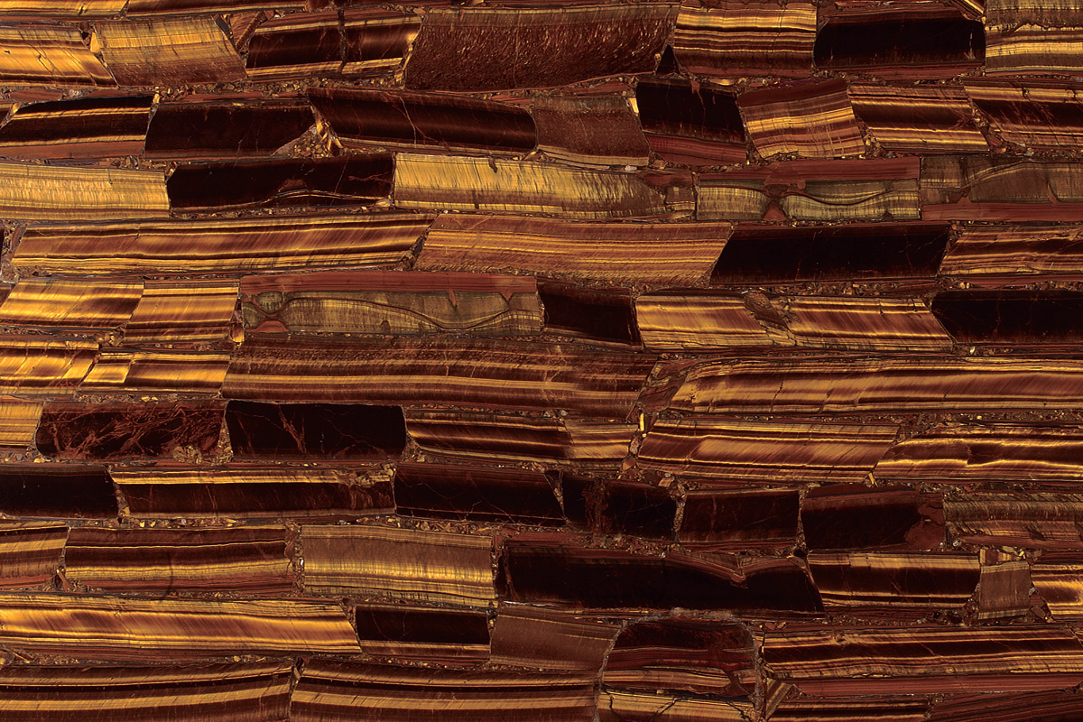 Tiger Eye “Gold”