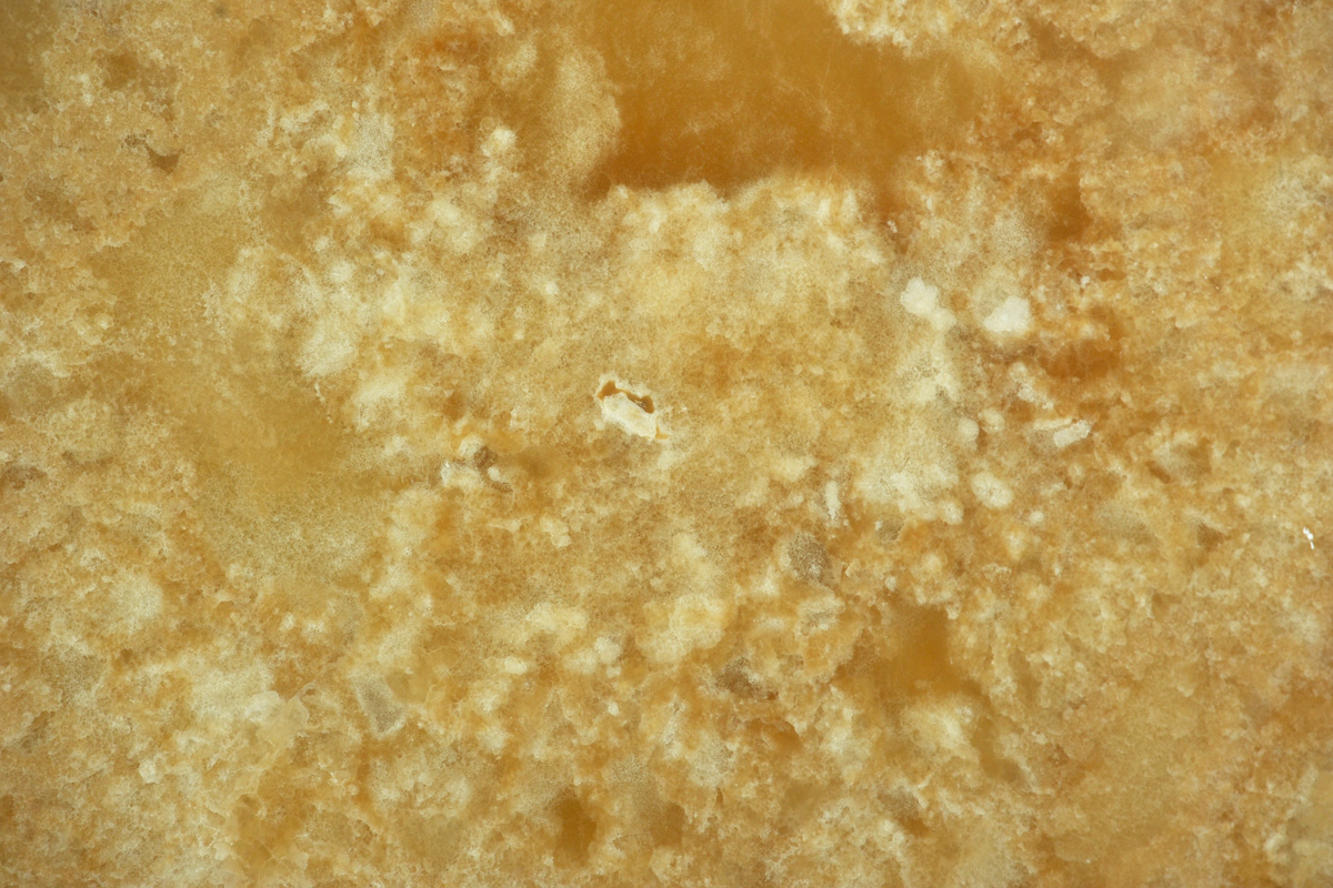 Onice Cappuccino (Cross Cut)