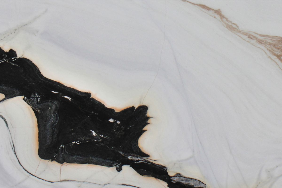 Bianco Lasa “Macchia Vecchia” / Covelano