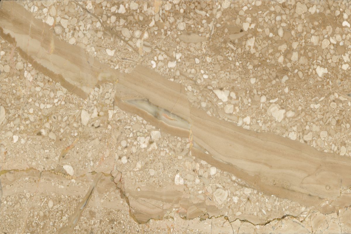 Breccia Sarda / Daino Reale