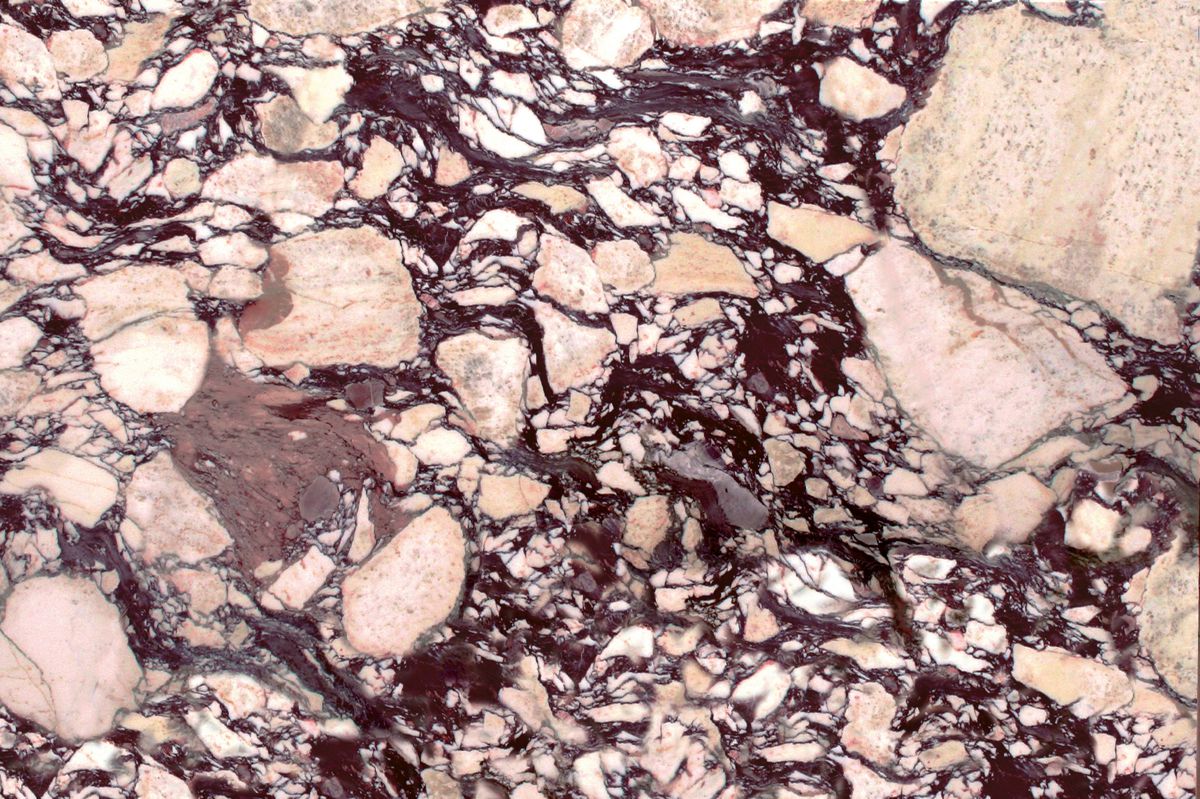 Calacatta Viola